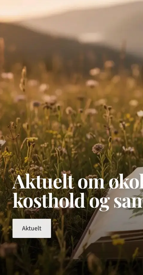 Mobilvisning av nettside