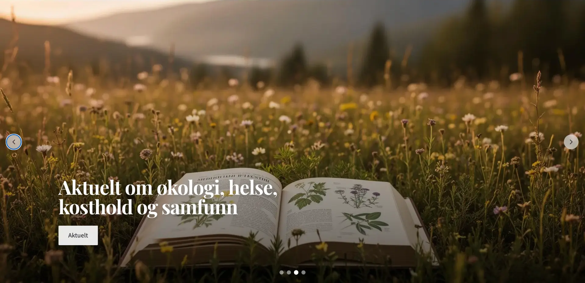 Nettside laget for Margit Vea